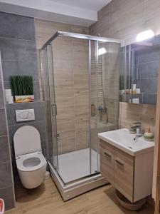 uma casa de banho com um chuveiro, um WC e um lavatório. em Sumski san 6 em Divčibare