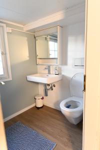 ein Badezimmer mit einem WC, einem Waschbecken und einem Spiegel in der Unterkunft Alter Zoll in Teufen