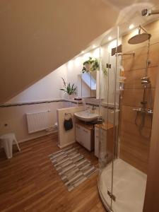a bathroom with a sink and a glass shower at Studio und Apartment auf dem Pferdehof in Burgpreppach