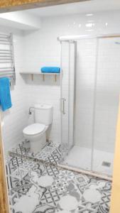 y baño con ducha y aseo. en 2 bedrooms appartement at Gijon, en Oviedo