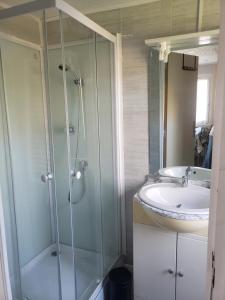 W łazience znajduje się prysznic i umywalka. w obiekcie Chez Bouju w mieście Castetnau-Camblong