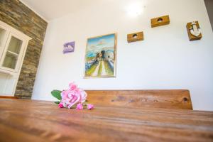 Fotografie z fotogalerie ubytování House Pygmy Cormorant v destinaci Pirovac