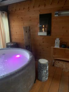 a bath tub in a wooden room with a television at Il Maiolandro in Noasca