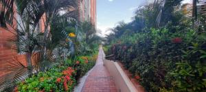 Zahrada ubytování Espectacular apartamento de 3 habitaciones con piscina y parqueadero privado Excelente Relacion Precio Calidad Puntaje