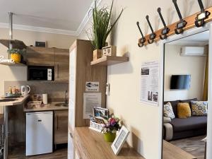 Kuchyňa alebo kuchynka v ubytovaní Silver Apartman