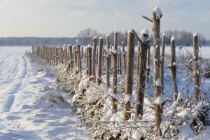 a fence covered in snow next to a field at Naturgarten Karlsfeld in der schönen Lausitz in Welzow