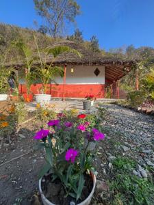 a house with a garden with flowers in front of it at Shivoham the earthen Home in Dehradun