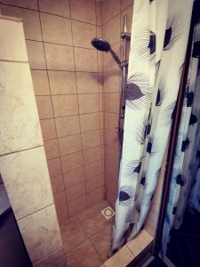 a shower with a shower curtain in a bathroom at Rybářský bungalov in Olbramkostel