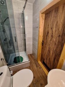 a bathroom with a shower and a toilet and a sink at Karkonoska Drewniana Chata in Kamienna Góra