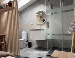 カルナックにあるVilla front de mer Carnacのバスルーム(シャワー、シンク、鏡付)