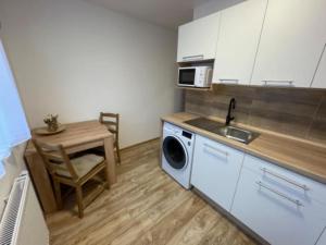 a kitchen with a sink and a table with a washing machine at Apartmán Strážný 7 in Strážný