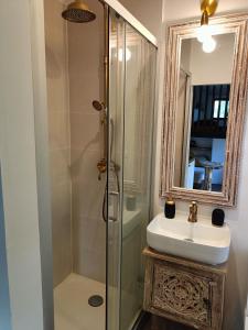a bathroom with a shower and a sink and a mirror at Tiny house au lagon in Saint-Paul