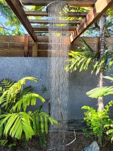 un giardino con tetto in legno e fontana. di Tiny house au lagon a Saint-Paul