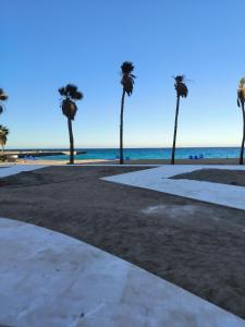 una pasarela con palmeras en la playa en Solo beach front studio or for couple, en Hurghada