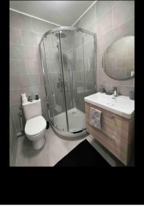 a bathroom with a shower and a toilet and a sink at appartement 93 proche stade de France in Saint-Denis