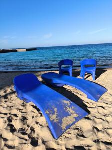 Dos sillas azules en una playa con el océano en Solo beach front studio or for couple, en Hurghada