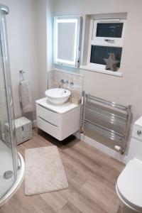 een badkamer met een wastafel, een toilet en een raam bij Contemporary new build with parking & garden in central location in Hereford