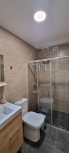 a bathroom with a toilet and a shower and a sink at Charites: Terrace with Seaview - 100m to the beach in Koroni