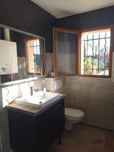 een badkamer met een wastafel en een toilet en 2 ramen bij Aux jardins d'Héloise in Crest