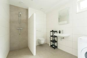 y baño con ducha, aseo y lavamanos. en New Apartment In City Centre Large, en Oirschot