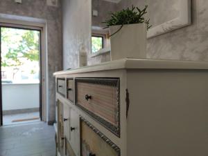 a kitchen counter with a plant on top of it at Bed and Breakfast Cattinara in Trieste