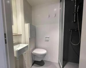een kleine badkamer met een toilet en een wastafel bij Modern Studio In Tilburg Kitchen & Bathroom in Tilburg