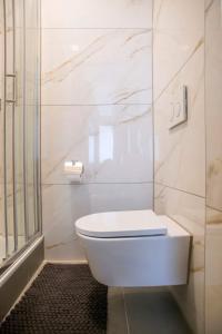 een wit toilet in een badkamer met een douche bij Room In The Center Of Tilburg Low Budget in Tilburg