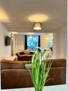 Spacious home near park and playing fields的休息区