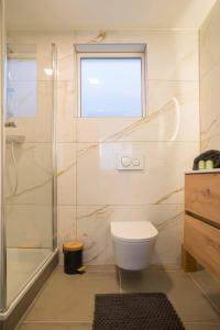 baño con aseo y ducha y ventana en Lovely Suite Newly Renovated, en Tilburg