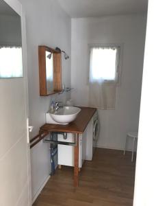 uma casa de banho com um lavatório e um espelho em Gîte de l'Olympe em Aspiran