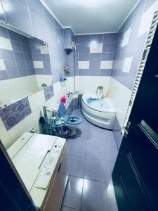 ein Badezimmer mit einer Badewanne, einem WC und einem Waschbecken in der Unterkunft Stejarului Apartament in Floreşti