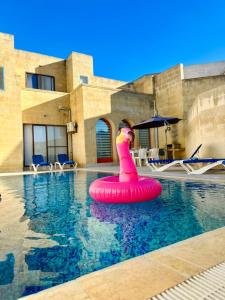 un anillo de goma rosa en medio de una piscina en Dawlet ix-Xemx Gozo Farmhouse, en Kerċem