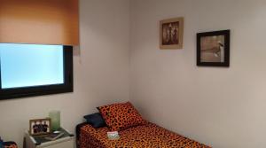 a room with a leopard print couch and a window at Apartaments Oller 2 in Roses