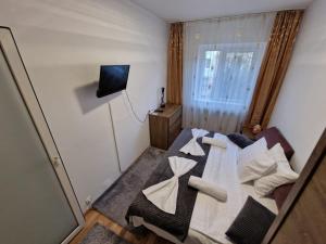 een slaapkamer met een bed met kussens en een televisie bij DurAsset Home in Ploieşti