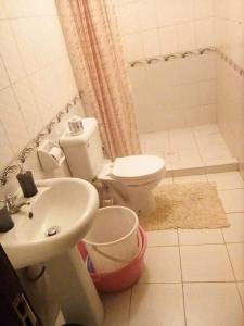 a bathroom with a toilet and a sink at One bedroom panthehouse in Kisumu