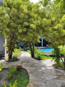 un jardin avec des arbres et une piscine dans l'établissement Villa dos Graffitis Pousada, à Morro de São Paulo