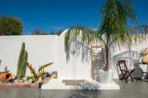 a white wall with a palm tree and a ladder at Antonakis Villa, Near Beach, Private Pool in Kremasti