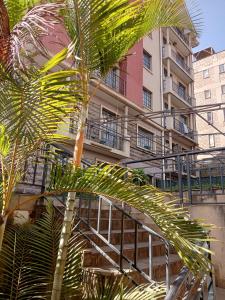 a palm tree in front of a building at Mvuli suites studio in Nairobi