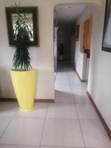uma planta num vaso amarelo num corredor em UHURU Gardens em eMatikwe