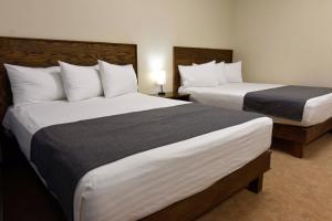 Letto o letti in una camera di Hotel Dunas Near Consulate
