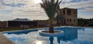 a palm tree sitting in the middle of a swimming pool at La Siwa in Siwa