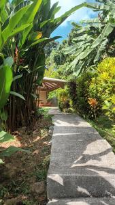 Zahrada ubytování Martinique La petite maison dans la Colline