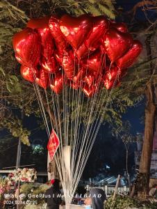 a bunch of red heart balloons hanging from a tree at JA INT in Dhaka