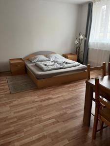 Posezení v ubytování Apartments Gala Abertamy