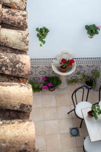 普列戈德科爾多瓦的住宿－La Tesela，庭院配有桌椅和鲜花