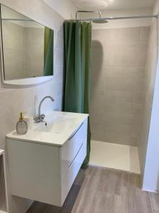 a bathroom with a sink and a shower at Logement entier vue mer in Bastia