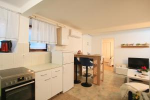 Η κουζίνα ή μικρή κουζίνα στο Bamboo Oasis Apartment with terrace in the garden and free parking, Rijeka