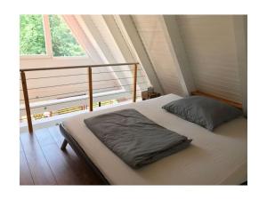 1 cama en una habitación con ventana en Modern apartment near centre, en Leinsweiler