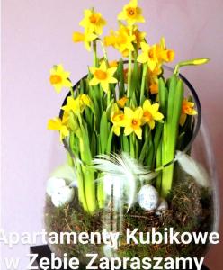 un jarrón lleno de narcisos amarillos y rocas en Pokoje Kubikowe en Ząb