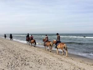 un grupo de personas montando a caballo en la playa en Holiday house dune forest b, en Dierhagen